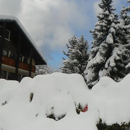 Palanbo Hotel 2*